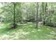 Lush green backyard with mature trees providing ample shade at 625 Saint Andrews Rd, Statesville, NC 28625