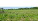 Lush farmland featuring vibrant green crops growing abundantly under a clear sky at Tbd Jerusalem Church Rd, Marshville, NC 28103