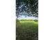 View of expansive farmland with crops, framed by lush green trees at Tbd Jerusalem Church Rd, Marshville, NC 28103