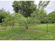 Backyard scene with a tree, a chain-link fence, and a partially visible sign at 1922 Salem Church Rd, Lincolnton, NC 28092