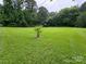 Well-maintained yard with a manicured lawn and a young tree at 1922 Salem Church Rd, Lincolnton, NC 28092