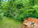 Aerial view showcases the wooden deck with outdoor furniture surrounded by vibrant greenery at 255 South Academy St, Mooresville, NC 28115