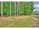 Expansive backyard featuring lush greenery and natural surroundings at 528 Sandbar Pt, Clover, SC 29710