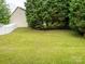 Large backyard with fenced perimeter and privacy trees at 8611 Earthenware Dr, Charlotte, NC 28269