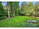 Lush backyard with mature trees and a pair of Adirondack chairs, creating a relaxing outdoor retreat at 2025 Sagamore Rd, Charlotte, NC 28209