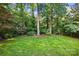 Expansive backyard with lush lawn and mature trees, creating a serene and private outdoor space at 2025 Sagamore Rd, Charlotte, NC 28209