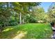 Lush green backyard with mature trees providing shade and privacy, creating a peaceful outdoor space at 2025 Sagamore Rd, Charlotte, NC 28209