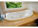 Bathroom tub with tile surround and a view of the landscaped yard outside of the window at 2025 Sagamore Rd, Charlotte, NC 28209