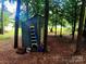 Shed in backyard surrounded by trees and foliage at 2800 Patio Ln, Gastonia, NC 28056
