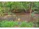 Serene creek view with lush greenery along the bank, a nature lover's paradise at 5995 Tall Tree Ln, Harrisburg, NC 28075