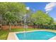 Beautiful backyard with in-ground pool, mature trees, and lounge seating, offering a perfect oasis for relaxation at 8612 Tintinhull Ln, Waxhaw, NC 28173
