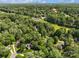 Aerial view of a lush, green neighborhood with mature trees and well-maintained homes at 12602 Angel Oak Dr, Huntersville, NC 28078