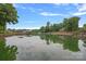 Picturesque lake view featuring docks, boathouses, and lush trees reflected in the calm water under a bright sky at 166 Pinnacle Shores Dr, Mooresville, NC 28117