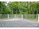 Deck overlooking a backyard and lush green trees at 1941 32Nd Ne St, Hickory, NC 28601