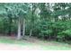Lush wooded area with mature trees and vegetation, offering a serene natural setting at 344 Lucas Rd, Star, NC 27356