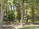 Picturesque backyard featuring mature trees and lawn at 555 Ridge Ave, Mooresville, NC 28115
