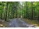 Gravel driveway surrounded by lush greenery and mature trees at 1371 Hawks Nest Rd, York, SC 29745