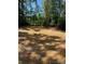 View of a spacious backyard covered with pine straw and surrounded by lush green trees at 183 Pine Haven Rd, Statesville, NC 28677