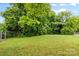 A grassy fenced backyard with beautiful, mature trees offering shade at 2536 Bancroft St, Charlotte, NC 28206