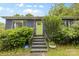 Inviting front entrance with a bright green door, brick steps, and lush landscaping at 2536 Bancroft St, Charlotte, NC 28206