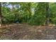 A large backyard with green trees and a glimpse of a covered back porch at 3924 Tillman Rd, Charlotte, NC 28208