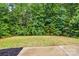 Lush backyard with level space, perfect for gardening and outdoor activities at 6322 Sydney Mae Ln, Charlotte, NC 28262