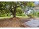 Lush backyard with a large tree and green grass at 653 Turner St, Mooresville, NC 28115