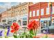 Charming street view showcasing brick buildings with retail shops on the ground floor, accented by colorful flowers in the foreground at 653 Turner St, Mooresville, NC 28115