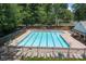 Community swimming pool surrounded by lounge chairs and lush trees at 10327 Shelter Rock Ct, Charlotte, NC 28214