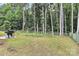Large backyard with lush greenery and plenty of space for outdoor activities at 1218 Rosada Dr, Charlotte, NC 28213