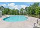 Community pool surrounded by lush greenery and comfortable lounge chairs at 13221 Gadwal Pintail Dr, Charlotte, NC 28262
