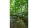 Picturesque backyard view with a flowing creek, lush greenery, and mature trees at 1567 Jennings Rd, Statesville, NC 28625