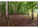 Forested homesite providing natural beauty and seclusion at 1919 Madeira Cir, Waxhaw, NC 28173