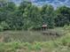 Scenic pond view with a rustic dock, framed by lush greenery and serene landscapes at 269 Johnson Dairy Rd, Mooresville, NC 28115