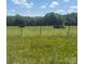 Idyllic pasture featuring grazing livestock and lush green surroundings at 338 Hickory Grove Rd, Harmony, NC 28634