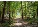 Trail leads to a lake surrounded by lush trees at 389 Ponderosa Cir, Mooresville, NC 28117