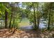 A glimpse of a lake through the trees at 389 Ponderosa Cir, Mooresville, NC 28117