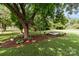 Landscaped front yard with a mature tree providing shade and a well-maintained lawn at 9135 Stokes Ferry Rd, Salisbury, NC 28146