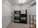 Walk-in closet offering shelving units and wire shelving at 10207 Garmoyle St, Charlotte, NC 28277