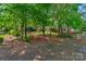 The backyard has a wooded border and beautiful azaleas at 10508 Old Wayside Rd, Charlotte, NC 28277