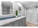 This bathroom has a double mirror over gray vanity, sleek shower, and a calming green plant at 110 Lambert Ln, Statesville, NC 28677