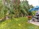 This serene backyard features a patio with outdoor furniture, lush lawn, and privacy trees, perfect for relaxation at 1564 Trippett Nw St, Concord, NC 28027