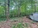 View of lot surrounded by trees with abandoned van at 2206 Meadow Rd, Clover, SC 29710