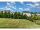 Spacious backyard featuring well-maintained lawn and a row of lush evergreen trees adding privacy to the property at 333 Dudley Dr, Fort Mill, SC 29715