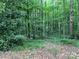 View of wooded backyard with mature trees, and lush green foliage at 511 Evelyn Ave, Kannapolis, NC 28083