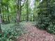 View of wooded backyard with mature trees, and lush green foliage at 511 Evelyn Ave, Kannapolis, NC 28083