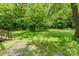 Backyard featuring mature trees and lush green lawn at 730 Marble St, Charlotte, NC 28208
