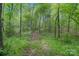 Picture of the landscape featuring lush green trees and a dirt path at 10016 Morgan Mill Rd, Monroe, NC 28110