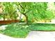 Backyard showcasing a large tree and green ground cover providing a serene setting at 2000 Tyvola Rd, Charlotte, NC 28210