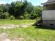 Large, overgrown backyard featuring lush green grass and mature trees, with stairs on the right at 418 W Cemetery St, Salisbury, NC 28144